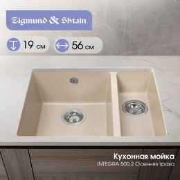 Кухонная мойка Zigmund & Shtain INTEGRA 500.2 Осенняя трава
